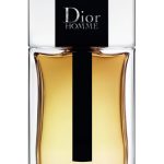 CHRISTIAN DIOR HOMME 100ML Without Box